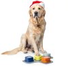 MEWOOFUN Dog Talking Buttons Recordable Training-6
