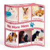 Dono Dog Diapers Pull Up Leak Proof Female Pet Supplies-7
