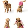 Pet Soft Dog Diaper Suspenders Adjustable Clip Design-4