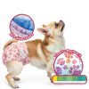 Dono Female Dog Diapers Disposable Absorbent Leak Proof-4