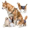Barklincharm Dog Diapers Washable Reusable Male Belly Bands-6