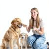 BARKIE Finger Ring Dog Training Clicker Effective Portable-6