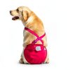 Avont Dog Diaper Reusable Washable Female Dogs In Heat-1