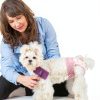 Dono Dog Diapers Pull Up Leak Proof Female Pet Supplies-2
