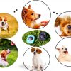 HoAoOo Dog Training Clicker Metal Finger Clicker Pet-5