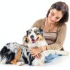 Simple Solution Male Dog Wraps Leakproof Incontinence-7