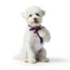 FUNLIYING Female Dog Diapers Super Absorbent Disposable 90-6