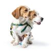 Dono Female Dog Diapers Disposable Absorbent Leak Proof-7
