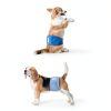 Teamoy Male Dog Diapers Reusable Washable Belly Bands-6