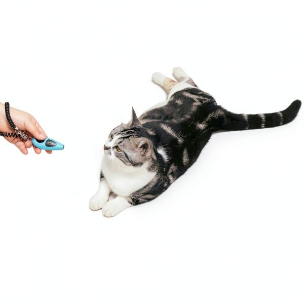 HoAoOo Pet Clicker with Whistle Dog Training Metal Durable-5