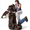 Gelabur Dog Training Buttons Recordable Pet Communication-4