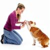 HoAoOo Dog Training Clicker Whistle 2 Pack Blue Black-6