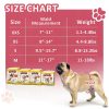 Dono Female Dog Diapers Disposable Absorbent Leak Proof-6