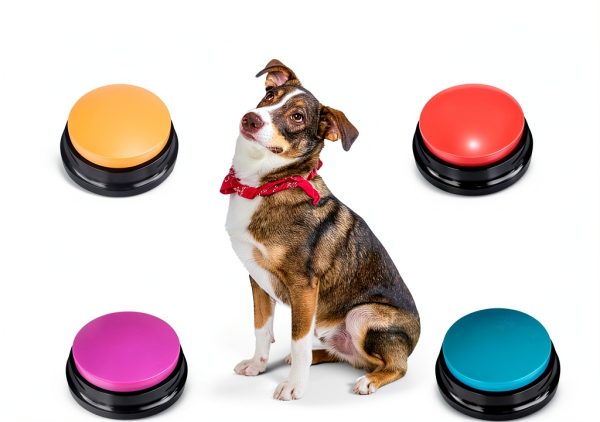 FINEST+ Dog Training Clicker 30 Second Recording Interactive-1