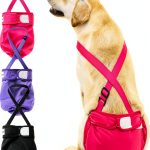 Avont Dog Diaper Reusable Washable Female Dogs In Heat-0