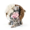 Pet Soft Disposable Cat Diapers Absorbent Leak Proof-5