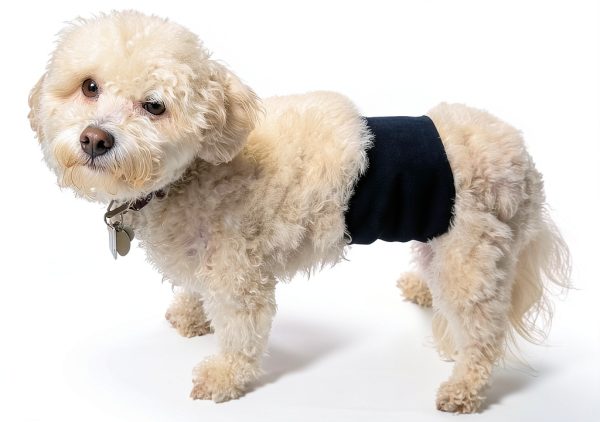 Teamoy Male Dog Diapers Reusable Washable Belly Bands-7