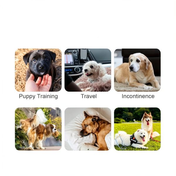 COCOYO Dog Diapers Leak Proof Disposable Female Pet Supplies-5