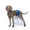 Qinwanke Dog Diapers Reusable Washable Leakproof Pet-4