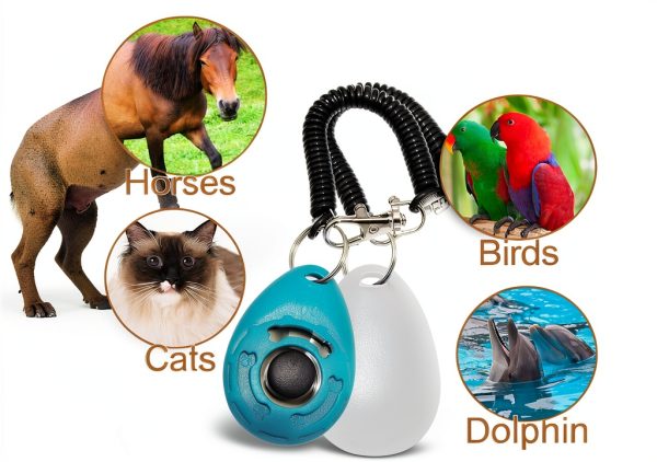 Chadou Dog Training Clicker Metal Button with Wrist Strap-3